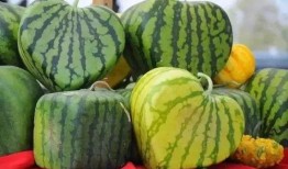 网络大瓜,揭秘娱乐圈幕后真相，带你走进明星隐私世界